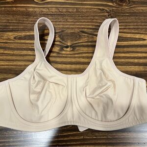 Wacoal bra 36D